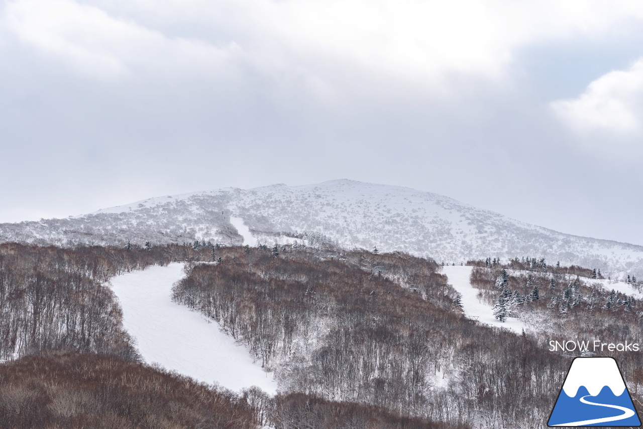 IWANAI RESORT ＆ ニセコの里山｜混雑知らず？！素晴らしい雪質と景色が待つ、ニセコエリアの穴場的スキー場！